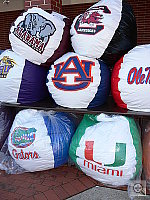 Click to see YP1020298.JPG