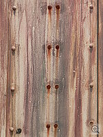 Click to see YP1010266.JPG