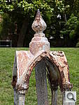 Click to see YP1000422.JPG
