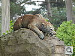 Click to see YP1000434.JPG