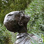 Click to see YP1000440.JPG