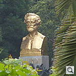 Click to see YP1000445.JPG