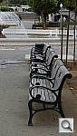 Click to see YP1000459.JPG