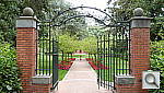 Click to see YP1000462.JPG
