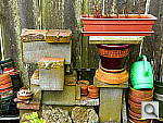 Click to see YP1000486.JPG