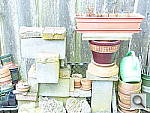 Click to see YP1000488.JPG