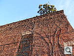 Click to see YP1010794.JPG
