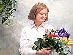 Click to see FZ7INI100.JPG