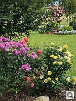 Click to see YP1020047.JPG