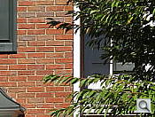 Click to see G11FARWTDT.JPG