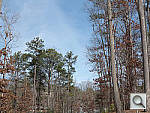 Click to see G1XPINE_ACRu300r03.JPG