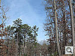 Click to see G1XPINE_DPPu500r06.JPG