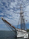 Click to see YIMG_1849.JPG