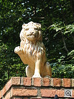 Click to see YIMG_0358.JPG