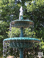 Click to see YIMG_2817.JPG