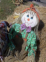 Click to see YPICT0369.JPG