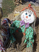 Click to see YPICT0376.JPG