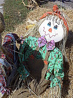 Click to see YPICT0382.JPG