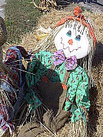 Click to see YPICT0388.JPG