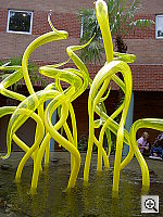 Click to see YPICT0426.JPG