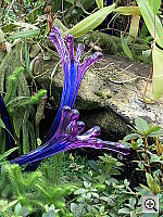 Click to see YPICT0444.JPG