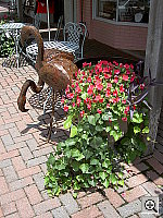 Click to see YPICT0450.JPG