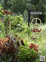 Click to see YPICT0458.JPG