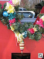 Click to see YIMG_0967.JPG