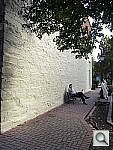 Click to see Y217.jpg