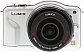 image of the Panasonic Lumix DMC-GF3X digital camera