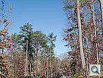 Click to see GX1PINE_ACRu250r03.JPG