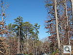 Click to see GX1PINE_SPu250r03.JPG