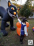 Click to see YP1010031.JPG