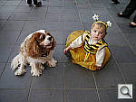 Click to see YP1010061.JPG