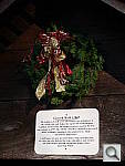 Click to see YP1020034.JPG