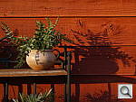 Click to see YP1020101.JPG