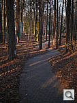 Click to see YP1020112.JPG