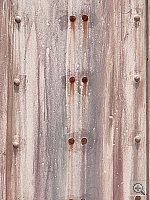 Click to see YDSC01343.JPG