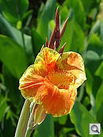 Click to see YDSC00949.JPG