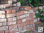 Click to see YDSC00905.JPG
