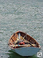 Click to see YDSC00957.JPG