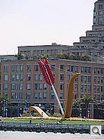 Click to see YDSC00978.JPG