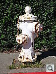 Click to see YDSC00956.JPG