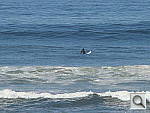 Click to see YDSC00960.JPG
