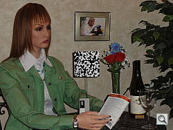 Click to see HX5VINBFP3.JPG