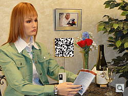Click to see HX5VINBFSP1.JPG