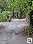 Click to see YDSC00360.JPG