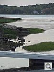Click to see YDSC00568.JPG