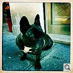 Click to see YIMG_1023.JPG