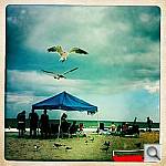 Click to see YIMG_1286.JPG